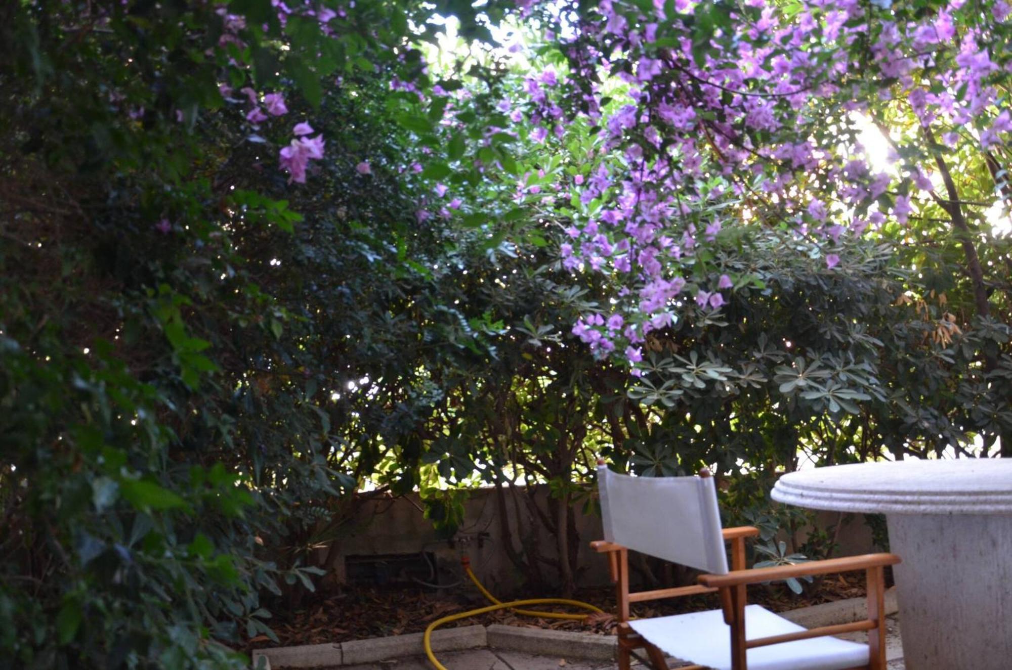 Fantastic Sardinia Villette Con Giardino Fronte Mare Fertilia Faho-Gav01-Gav02 Экстерьер фото
