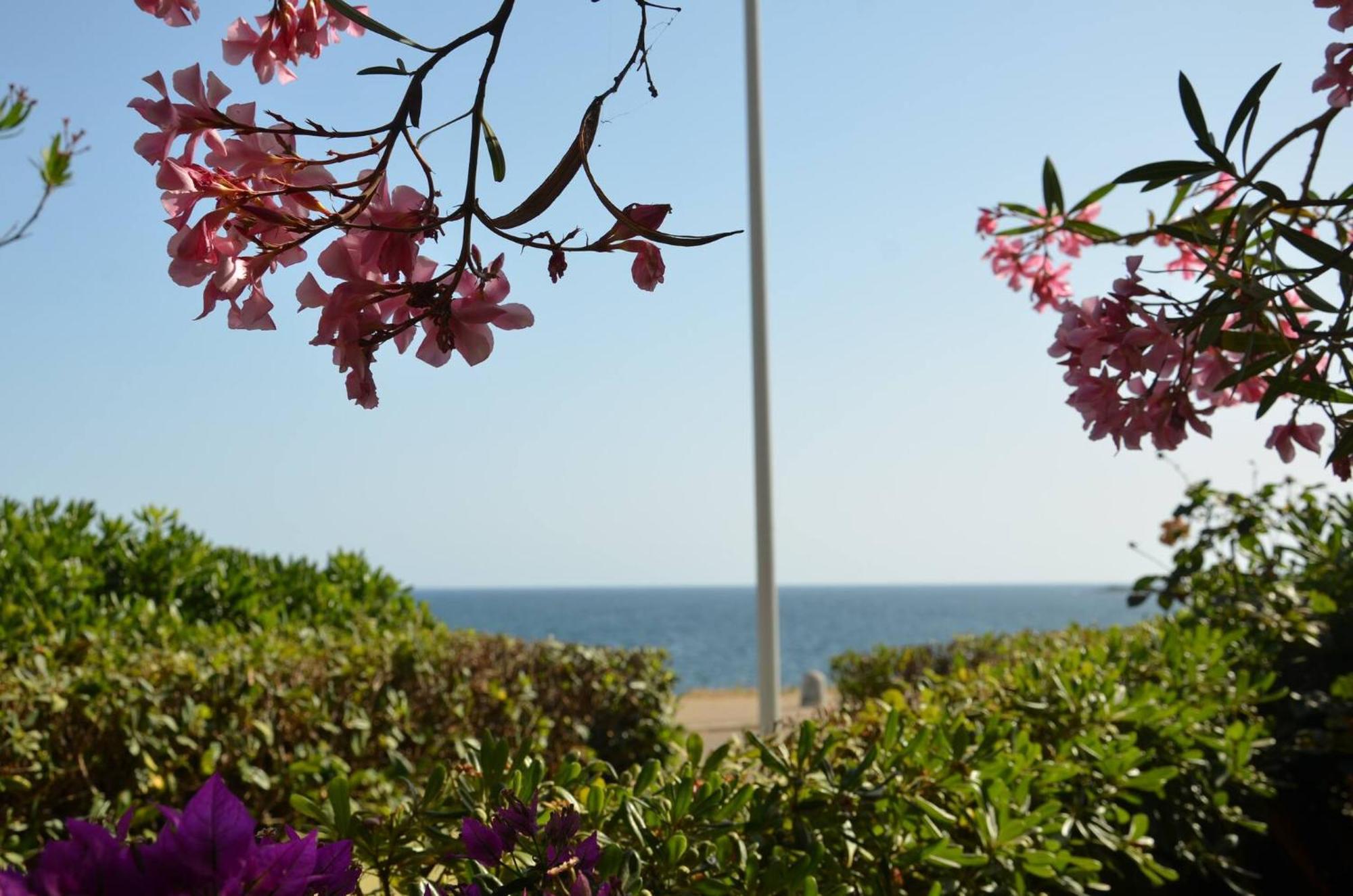 Fantastic Sardinia Villette Con Giardino Fronte Mare Fertilia Faho-Gav01-Gav02 Экстерьер фото